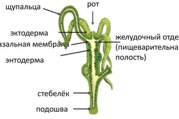 Блэкспрут ссылка blacksprut adress com