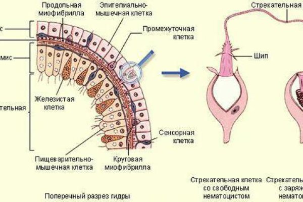 Блэк спрут club