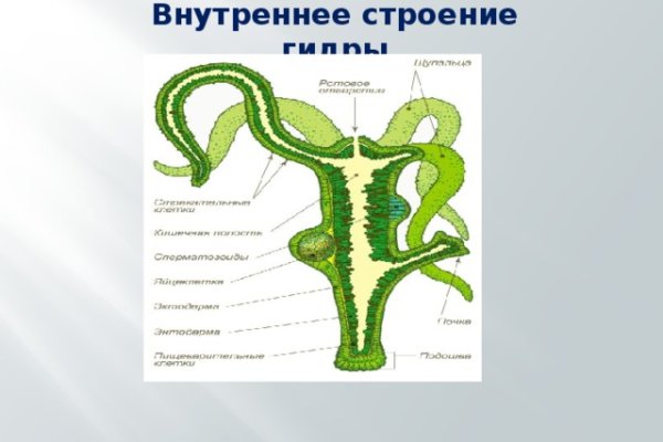 Блекспрут даркнет bs2web run