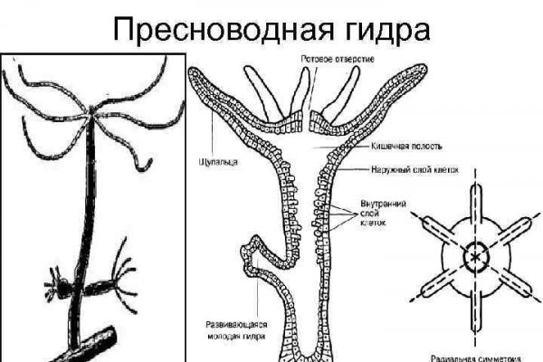 Black sprut чат