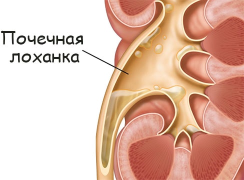 Сайт блэк спрут ссылка bs2web top